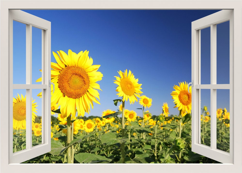 Sun Flowers Wall Decal, 3d Window Wall Decal, Sun Flowers Field View Wall Decal, Nature Window Frame, Window View Home Decal, Wall Mural