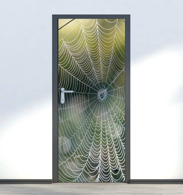 Spider Web Wall Decal, Door Mural, Spider Web Door Wallpaper,Spider Web Door Sticker, Home Design Door Sticker, Fridge Door Decor Covering