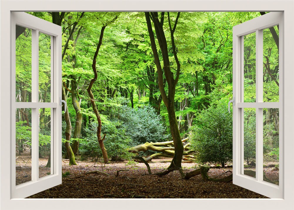 Jungle Trees Wall Decal, Forest Wall Sticker, 3d Window View Nature Wall Decal, Wall Mural, Window Effect, Home Decor Wall Sticker
