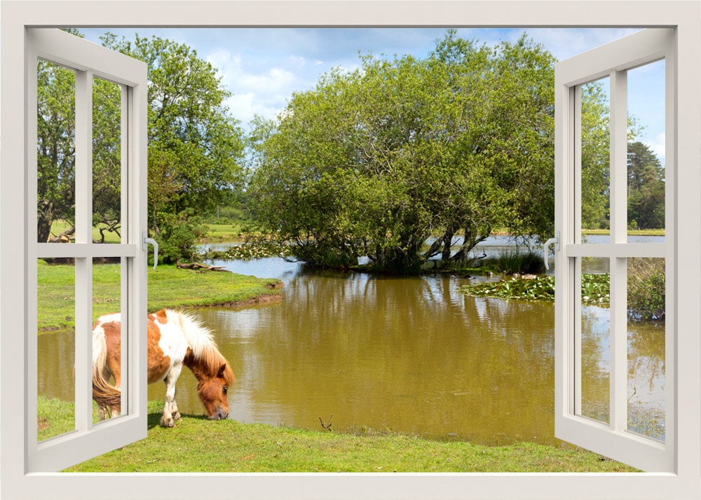 Horse Wall Decal, Horse Wall Sticker, Horse Drinking Water in Lake Wall Decal, Nature Wall Decal, Animals Window Frame Wall Sticker