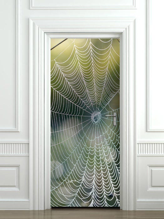 Spider Web Wall Decal, Door Mural, Spider Web Door Wallpaper,Spider Web Door Sticker, Home Design Door Sticker, Fridge Door Decor Covering