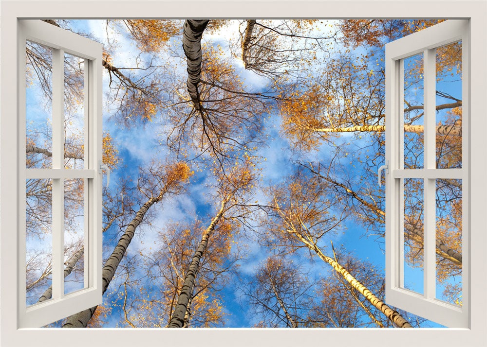 Bäume Wandtattoo Wandbild, Bäume Wandbild, Bäume Wandtattoo, Natur Wandtattoo, 3D Fensteraufkleber, Schlafzimmer Wohnzimmer Home Decor