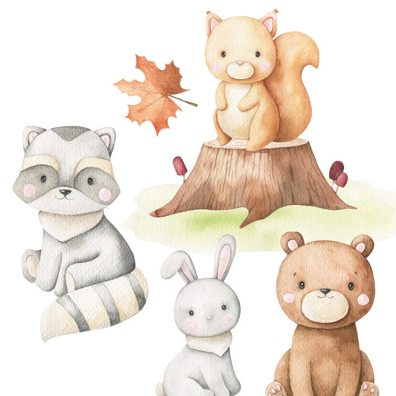 Woodland Animals Wall Decal, Forest Animals Wall Decal Sticker, Raccoon Owl Bunny Squirrel Wall Decal for Kids Nursery Baby Room Decor