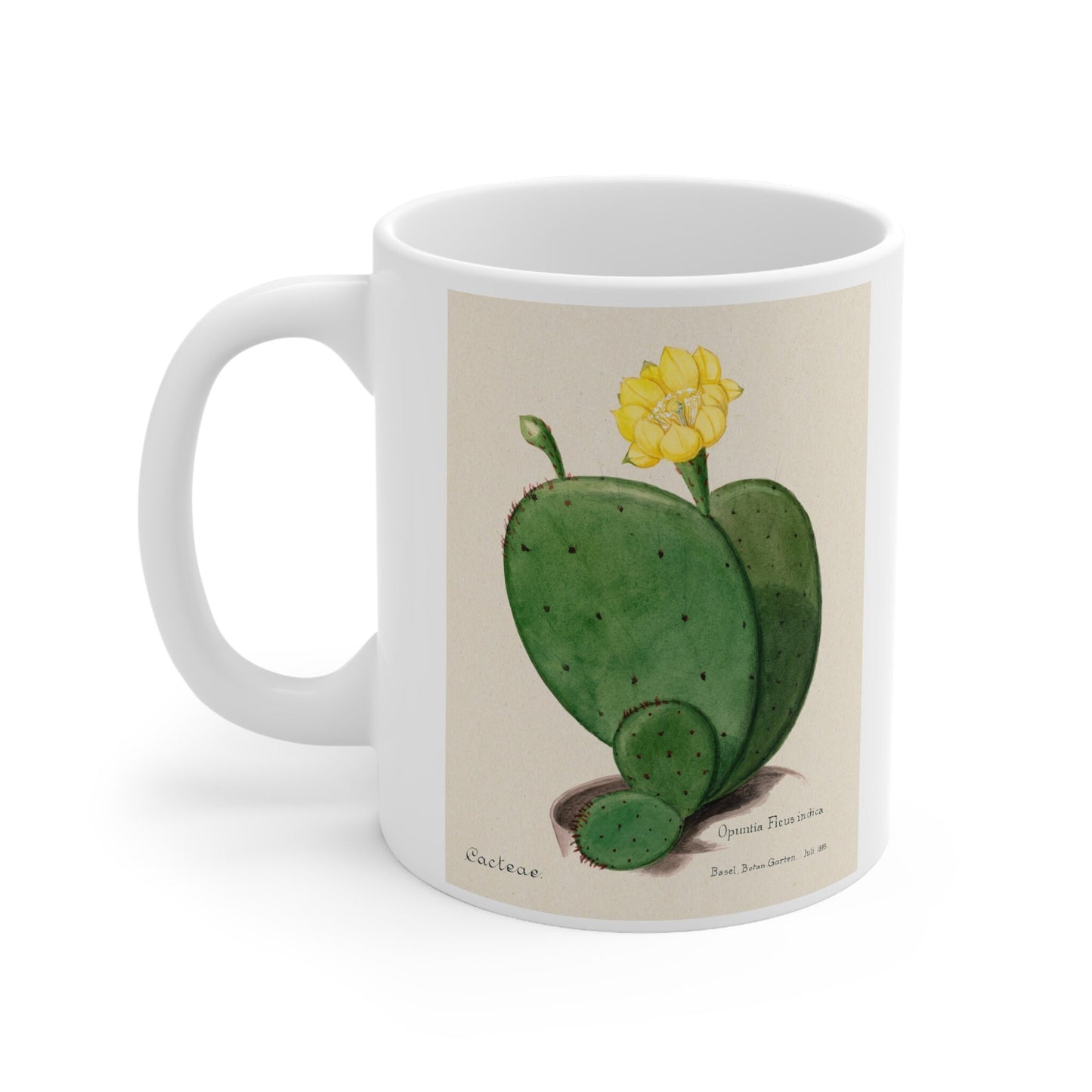 Cactus Mug, Mug with Cactus, Birthday Gift Mug, White Ceramic Coffee Mug 11oz, Fine Art Mug, Cactus Cup for Coffee Tea, Familie Der Cacteen