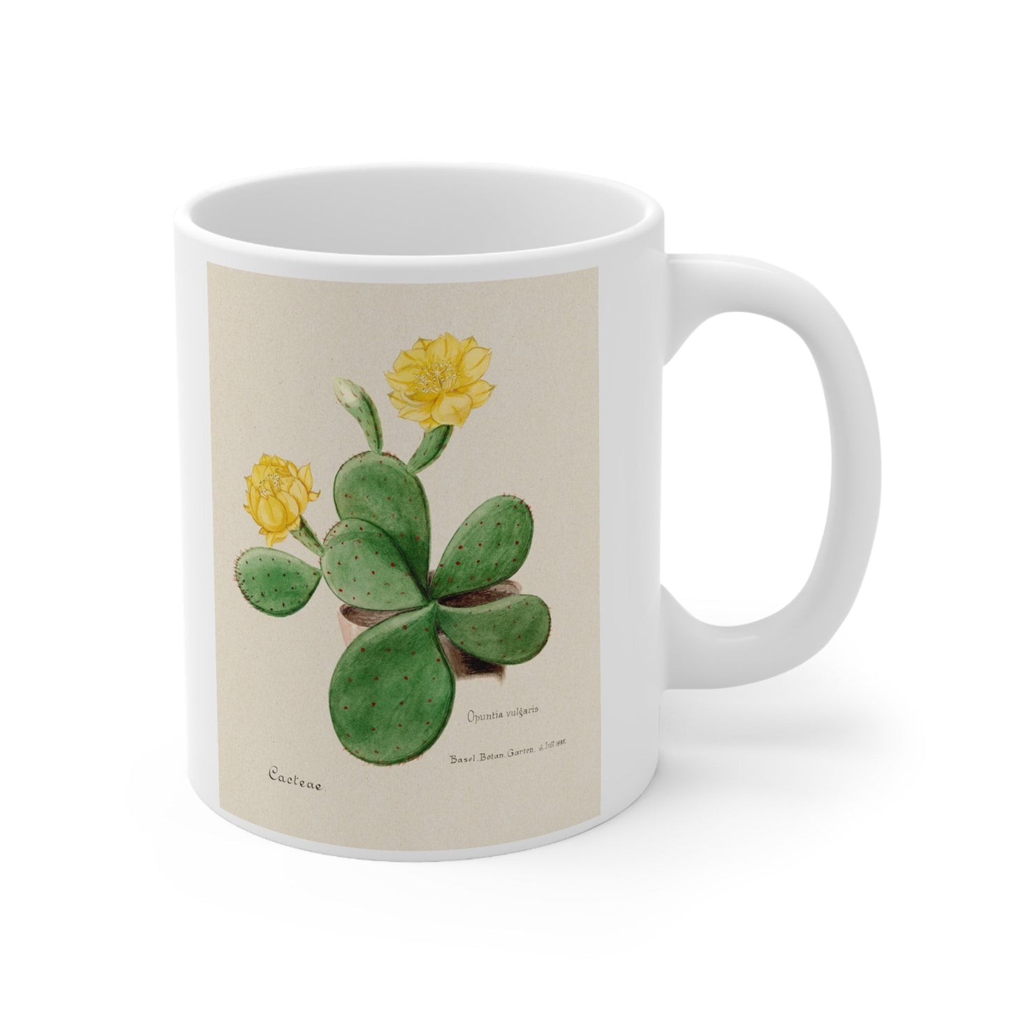 Mug with Cactus, Cactus Mug, Birthday Gift Mug, White Ceramic Coffee Mug 11oz, Fine Art Mug, Cup for Coffee or Tea, Familie Der Cacteen