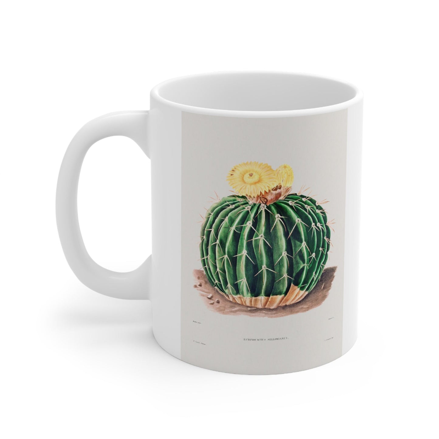 Mug with Cactus, Cactus Mug by Charles Antoine Lemaire, Gift Mug, White Ceramic Coffee Mug 11oz, Fine Art Mug, Cup for Coffee or Tea