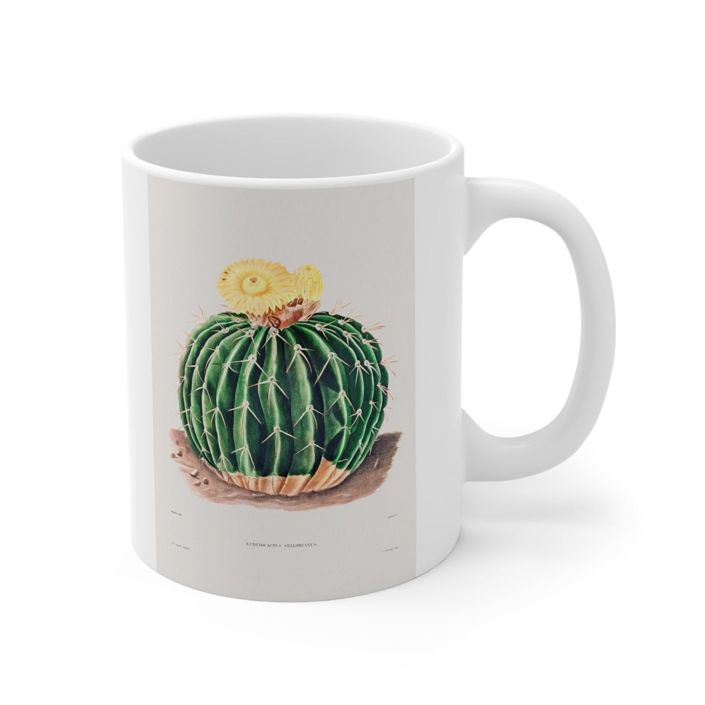 Mug with Cactus, Cactus Mug by Charles Antoine Lemaire, Gift Mug, White Ceramic Coffee Mug 11oz, Fine Art Mug, Cup for Coffee or Tea
