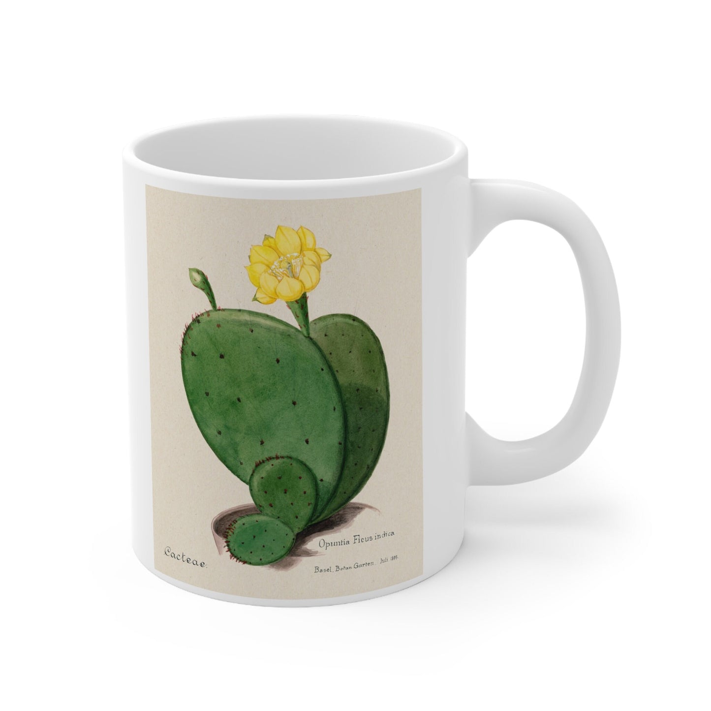 Cactus Mug, Mug with Cactus, Birthday Gift Mug, White Ceramic Coffee Mug 11oz, Fine Art Mug, Cactus Cup for Coffee Tea, Familie Der Cacteen