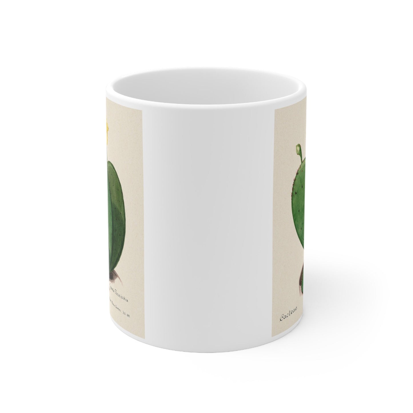 Cactus Mug, Mug with Cactus, Birthday Gift Mug, White Ceramic Coffee Mug 11oz, Fine Art Mug, Cactus Cup for Coffee Tea, Familie Der Cacteen