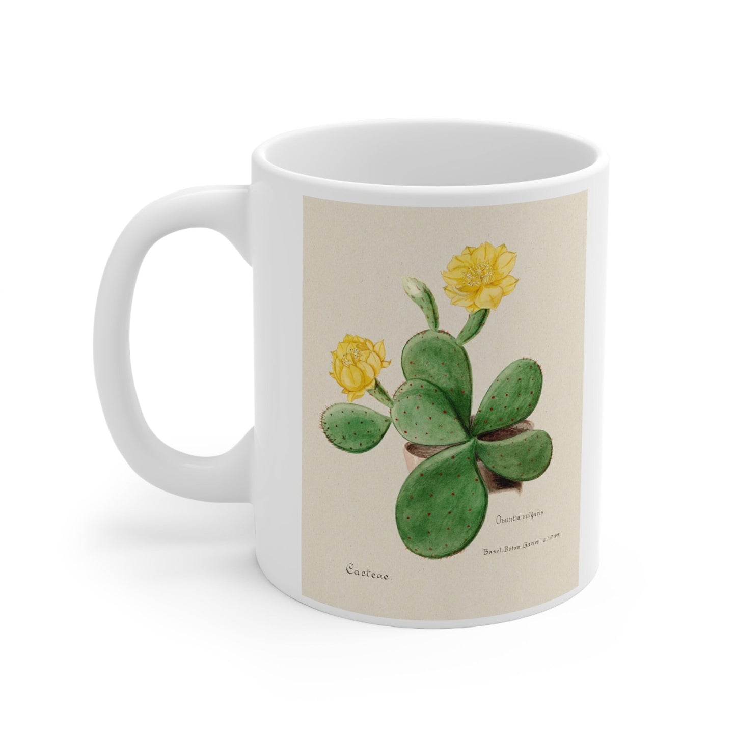Mug with Cactus, Cactus Mug, Birthday Gift Mug, White Ceramic Coffee Mug 11oz, Fine Art Mug, Cup for Coffee or Tea, Familie Der Cacteen