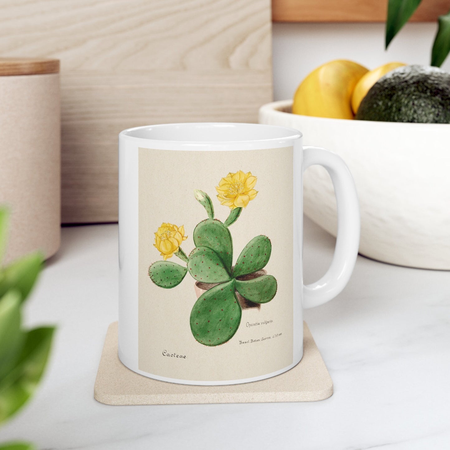 Mug with Cactus, Cactus Mug, Birthday Gift Mug, White Ceramic Coffee Mug 11oz, Fine Art Mug, Cup for Coffee or Tea, Familie Der Cacteen