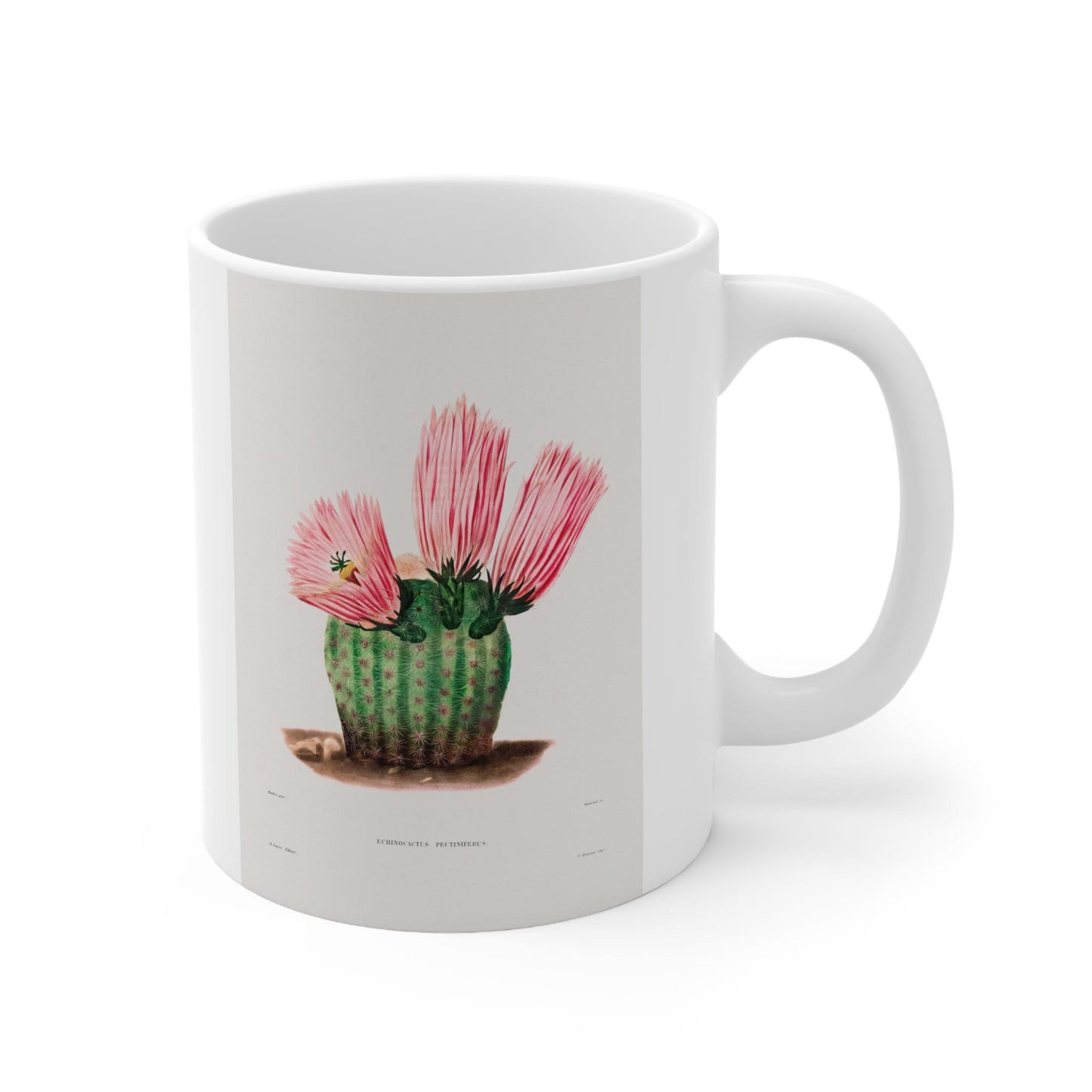 Rainbow Cactus Mug by Charles Antoine Lemaire, Birthday Gift Mug, White Ceramic Coffee Mug 11oz, Fine Art Mug, Cup for Coffee or Tea