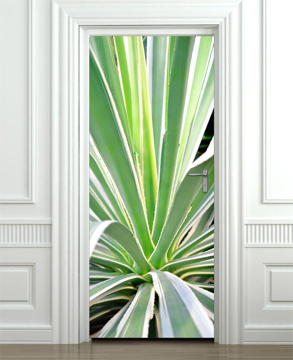 Aloe Vera Wall Decal, Aloe Vera Wall Sticker, Cactus Wall Decal, Nature Door Decor, Nature Wall Decor, Cactus Door Mural, Door Cover Wrap