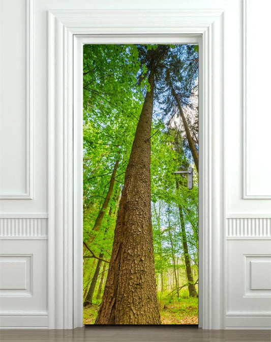 Tree Wall Decal, Tree Wall Sticker, Nature Door Decor, Forest Nature Door Mural, Door Cover, Door Wrap, Living Room Bedroom Home Decor