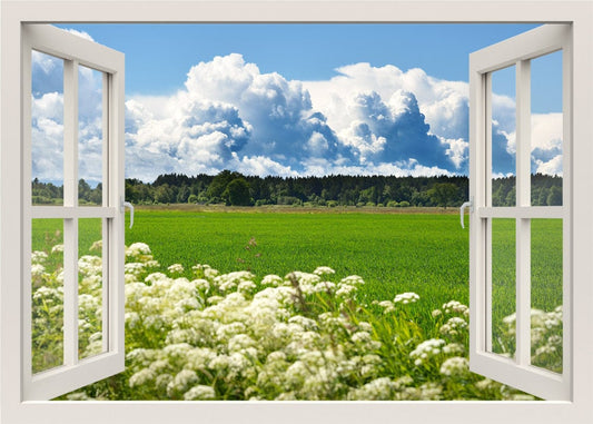 Flowers Wall Decal, Field Wall Decal, 3d Window Wall Decal, Nature Wall Sticker, Mountains Wall Mural, Nature Window View Frame Wall Decal