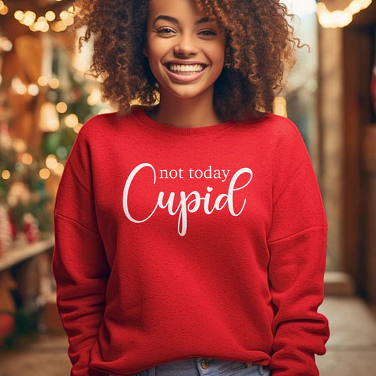 Not Today Cupid Lustiges Valentinstag Sweatshirt, Valentinstag Langarm Shirt, Anti Valentinstag Shirt, Geschenk für Sie, Geschenk für Ihn