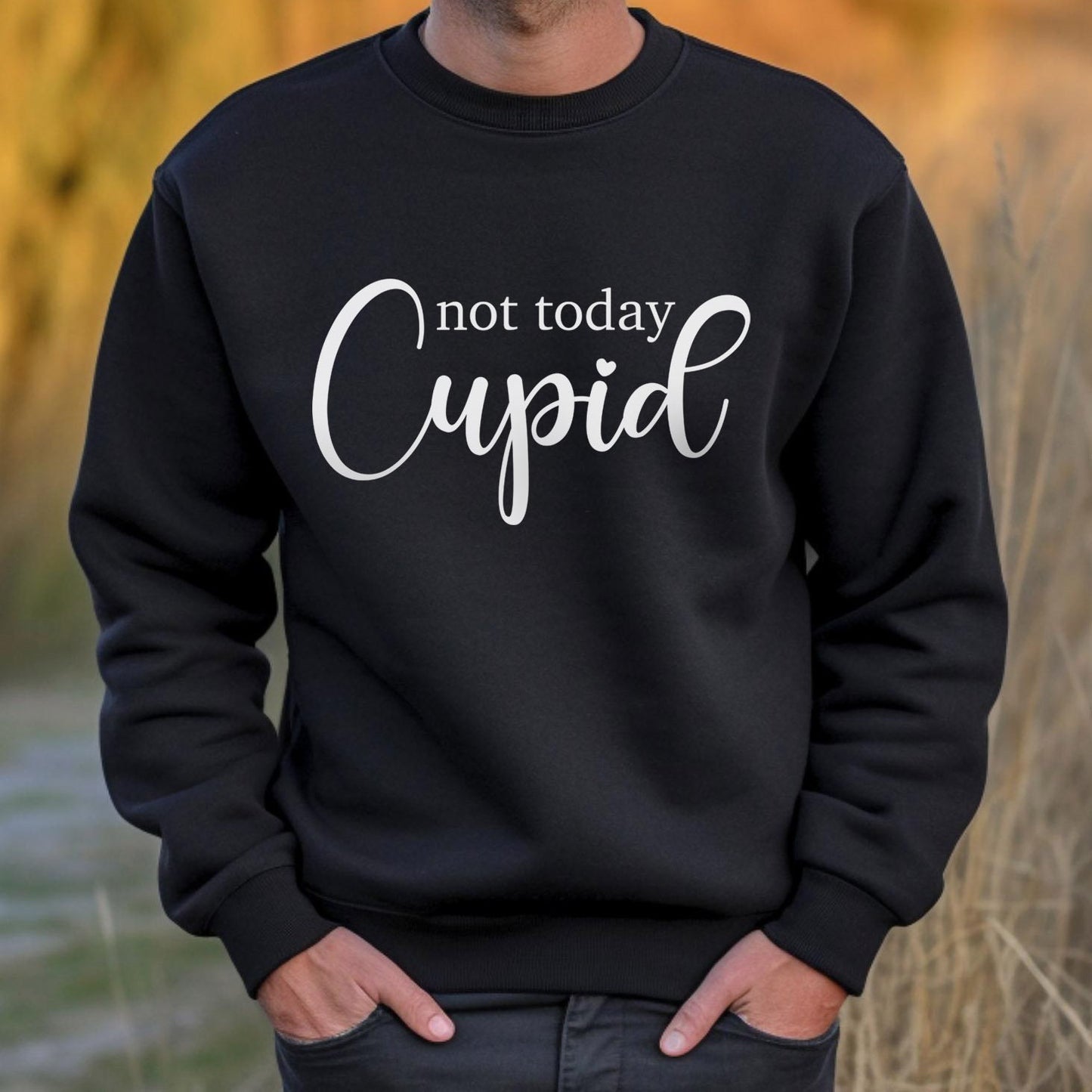 Not Today Cupid Lustiges Valentinstag Sweatshirt, Valentinstag Langarm Shirt, Anti Valentinstag Shirt, Geschenk für Sie, Geschenk für Ihn