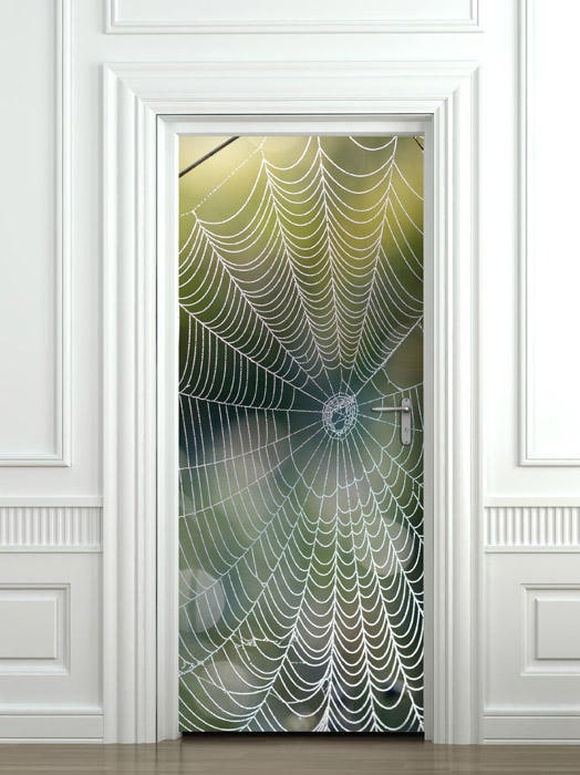 Spider Web Door Sticker, Nature Door Wallpaper, Door Mural, Spider Web Animals Wall Decor, Wall Decor Mural, Door Wrap, Fridge Door Decor