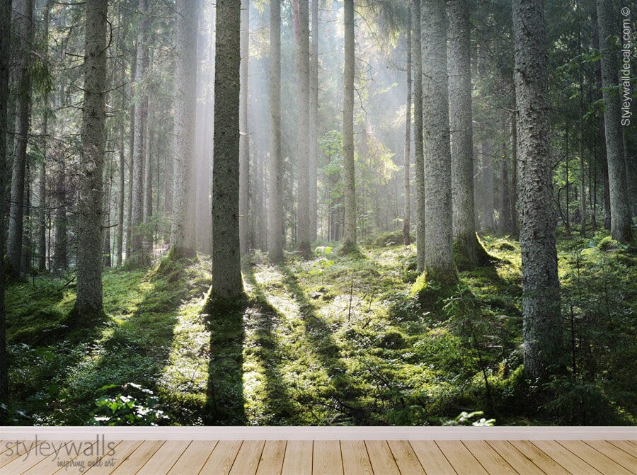 Wald Wandbild, Bäume Wandbild, Waldbäume repositionierbare abnehmbare Stofftapete, Kinderzimmer Dekor, Abziehen und Aufkleben, selbstklebend